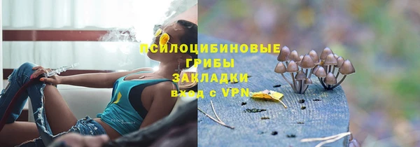 дурь Алзамай