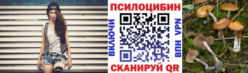 Псилоцибиновые грибы Psilocybe  Севастополь 